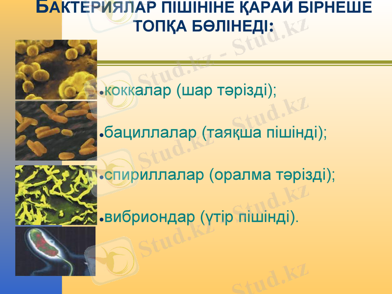 Slide 9