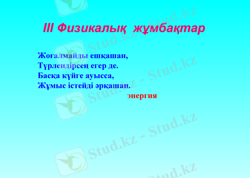 Slide 19