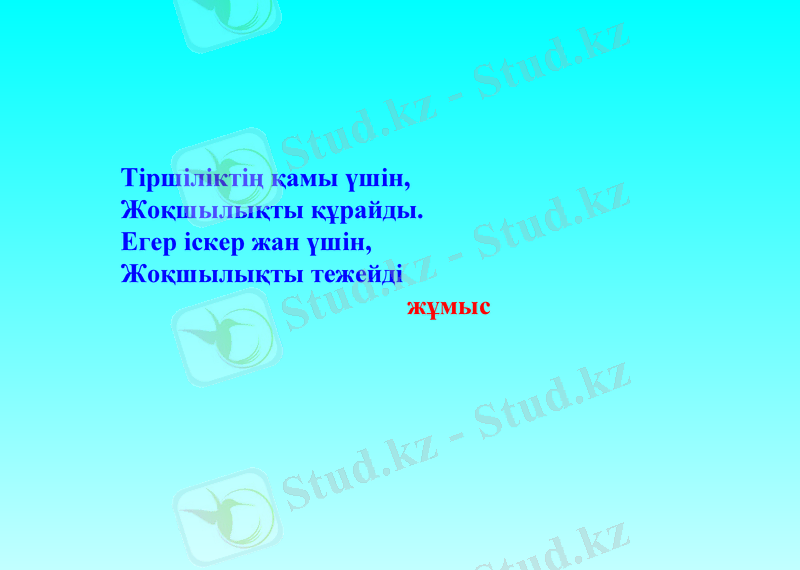 Slide 21