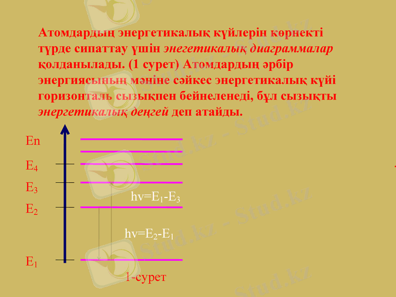 Slide 8