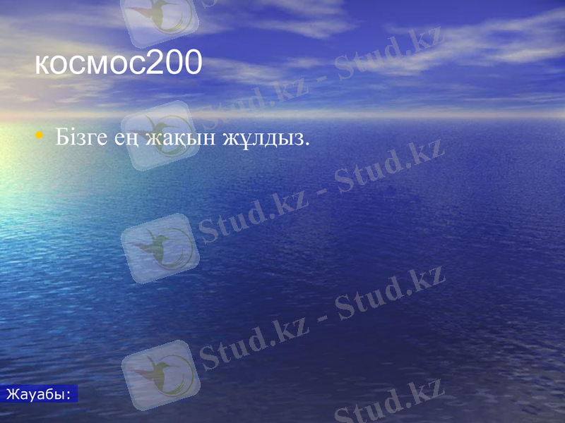 Slide 10