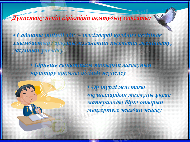 Slide 8