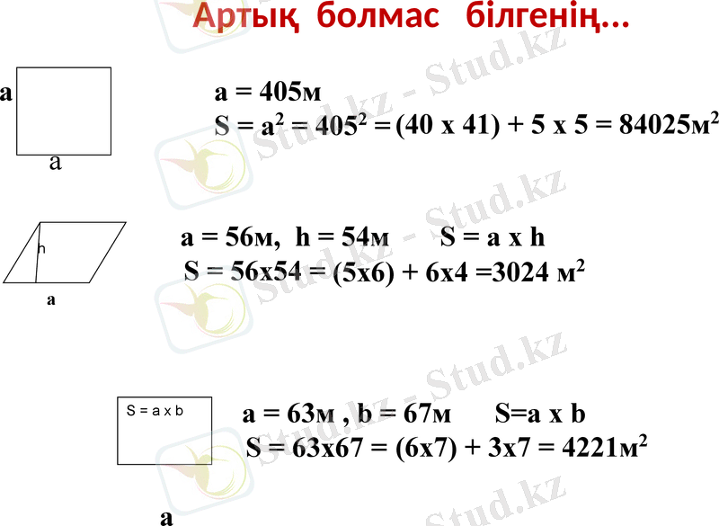 Slide 10