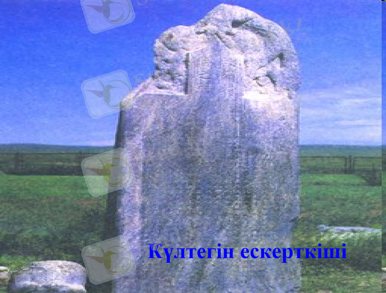 Slide 12