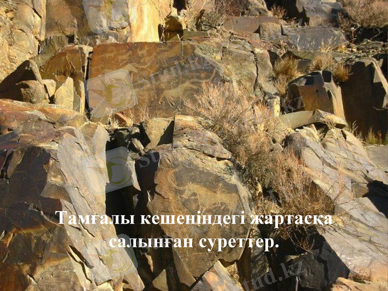 Slide 8