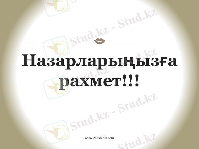 Slide 11