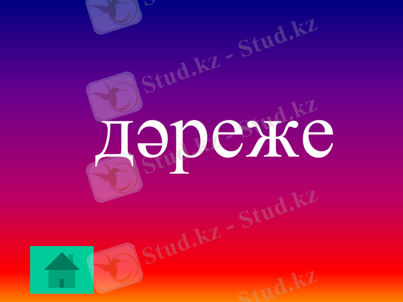 Slide 13