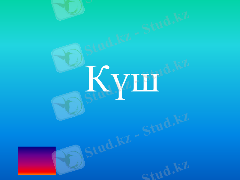 Slide 21