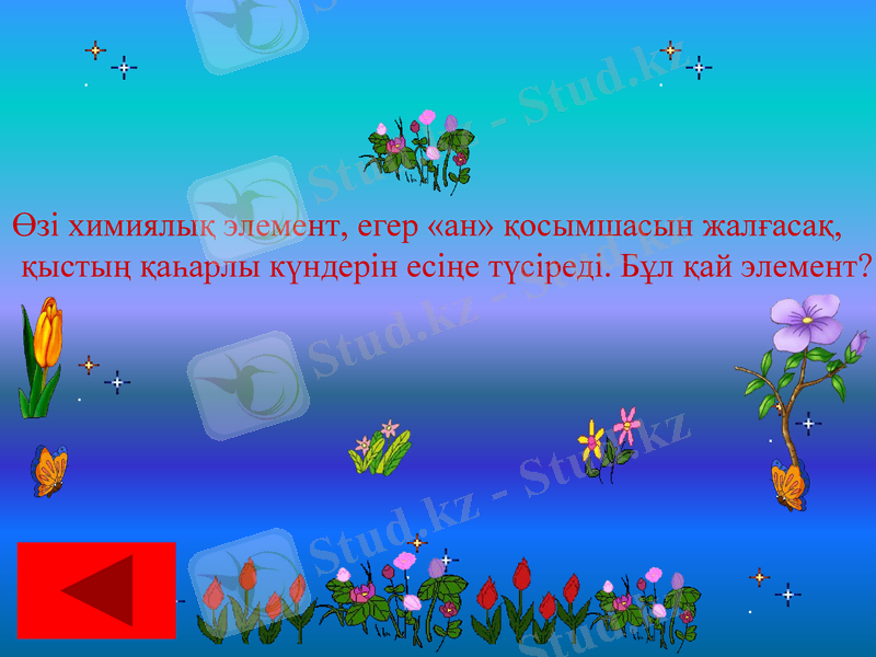 Slide 24