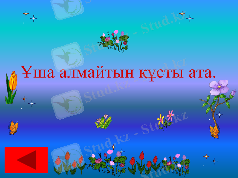 Slide 30