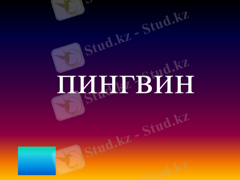 Slide 31