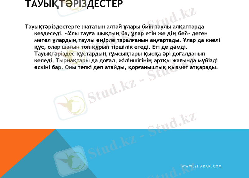 Slide 7