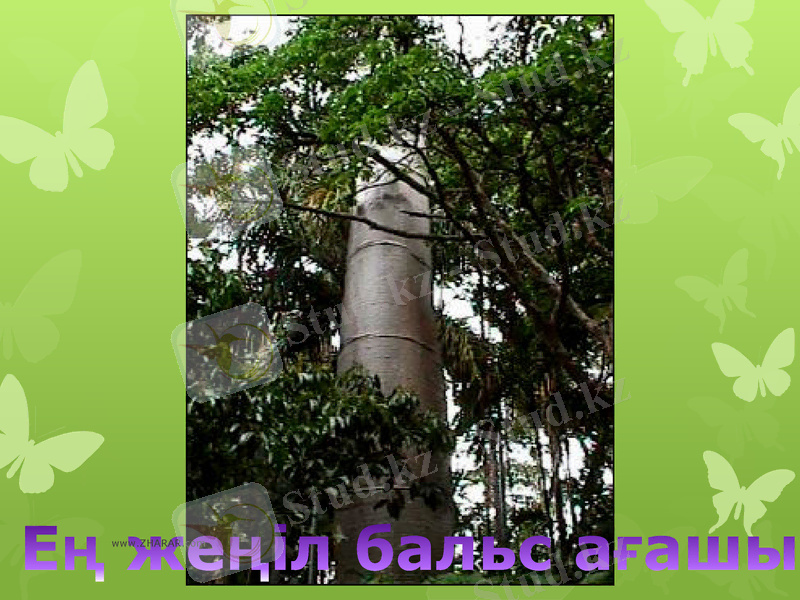 Slide 10