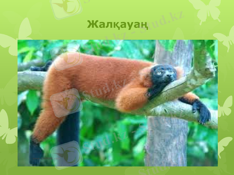 Slide 12