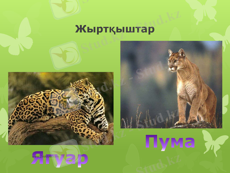 Slide 14