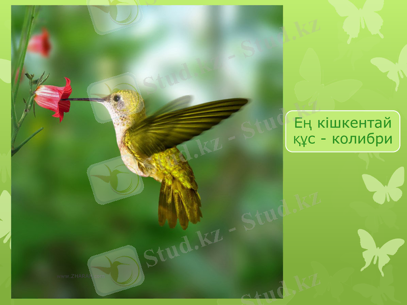Slide 16