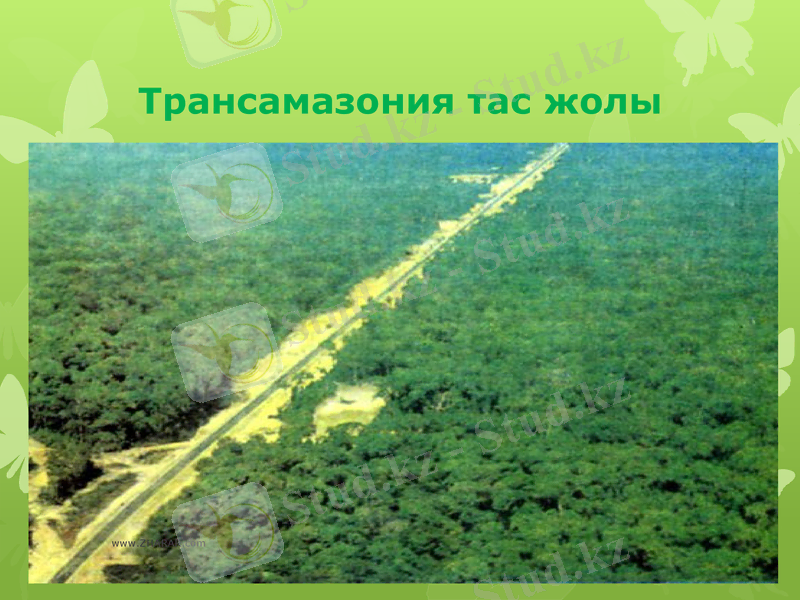Slide 17