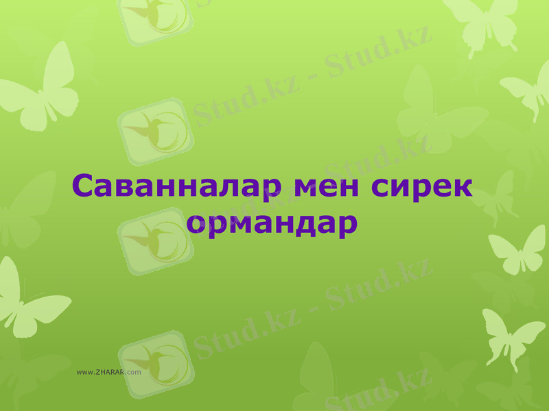 Slide 18