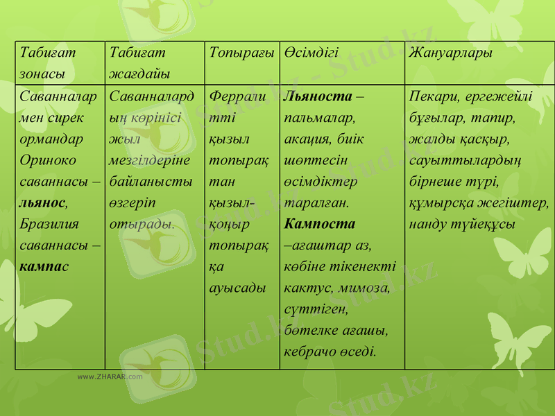 Slide 19