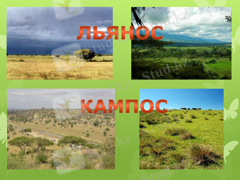 Slide 20