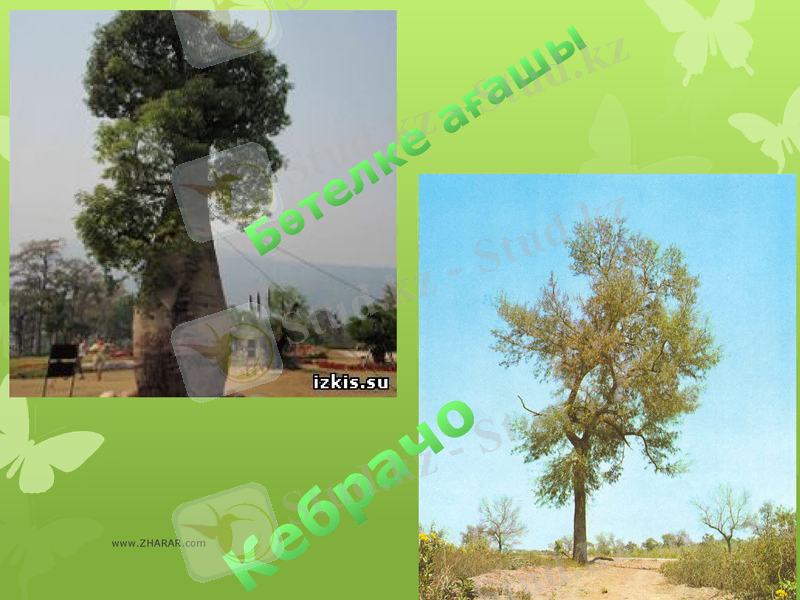 Slide 21
