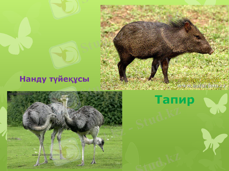 Slide 22