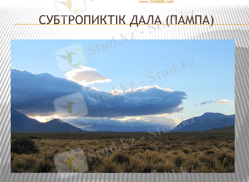 Slide 23