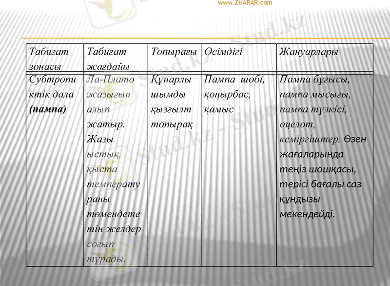 Slide 24