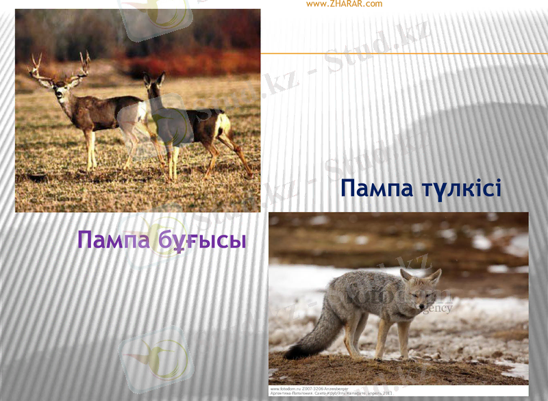 Slide 25