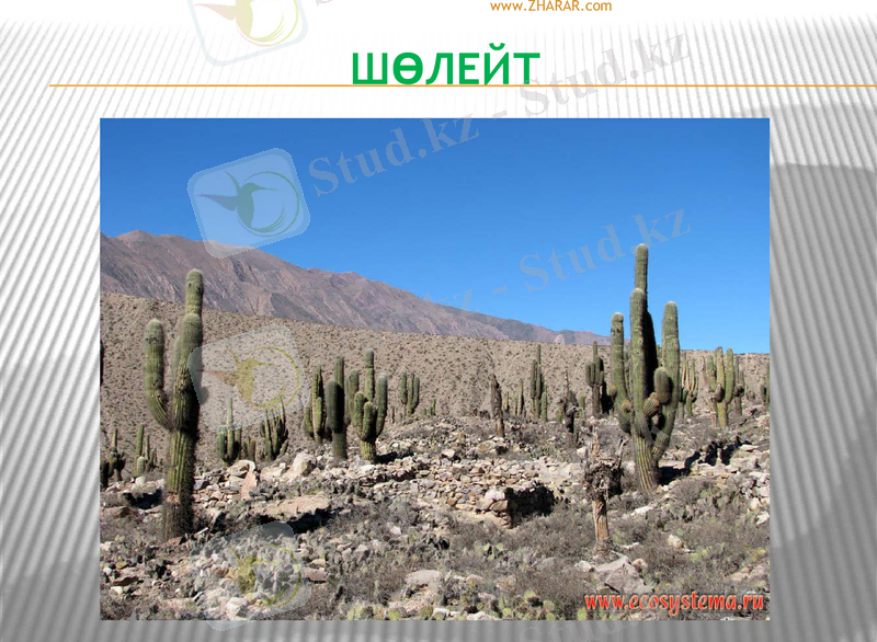 Slide 27
