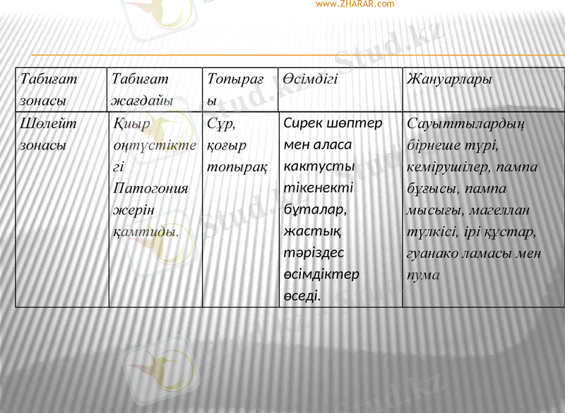 Slide 28