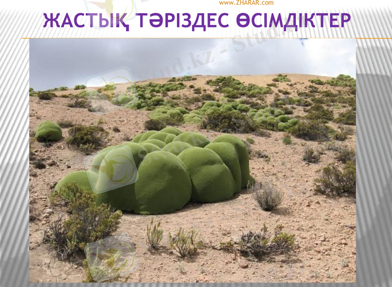 Slide 29