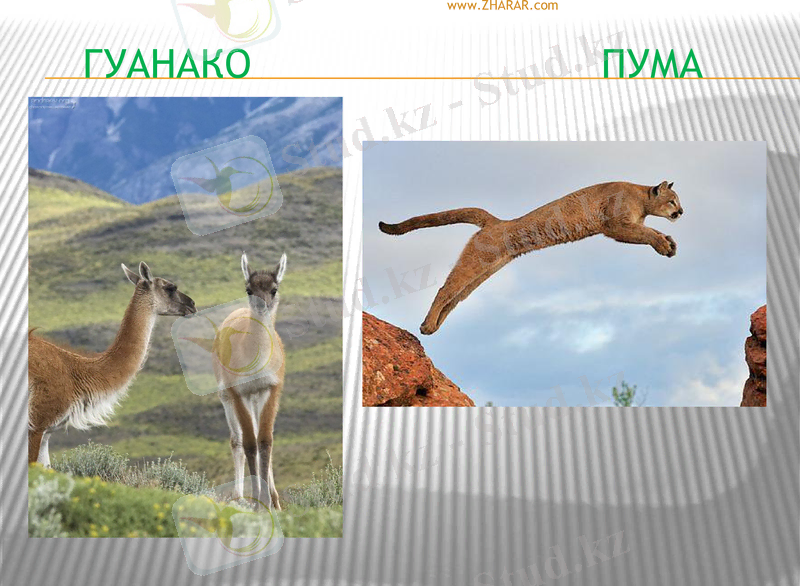 Slide 30