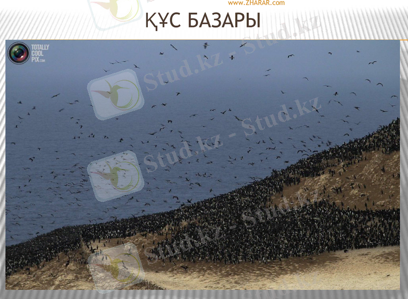 Slide 32