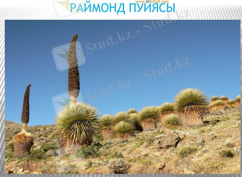 Slide 34