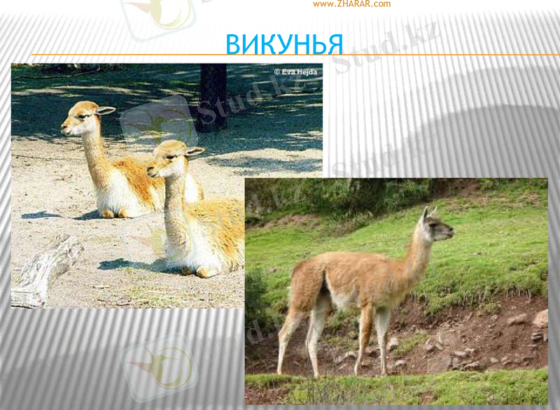 Slide 35