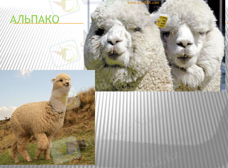 Slide 36