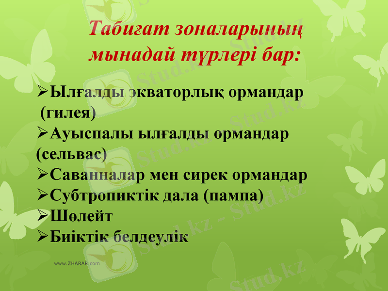 Slide 5