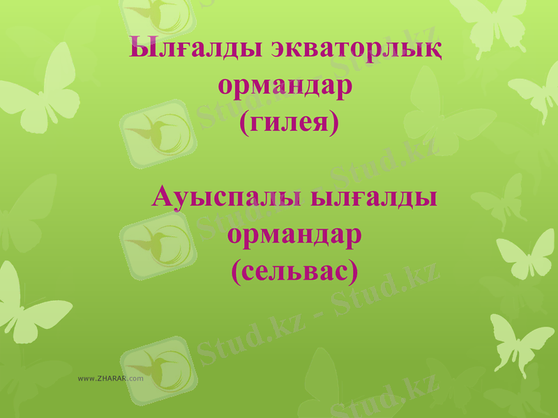Slide 6