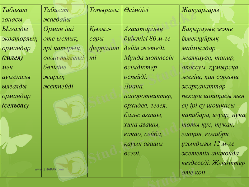 Slide 7