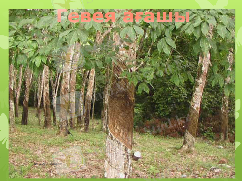 Slide 9