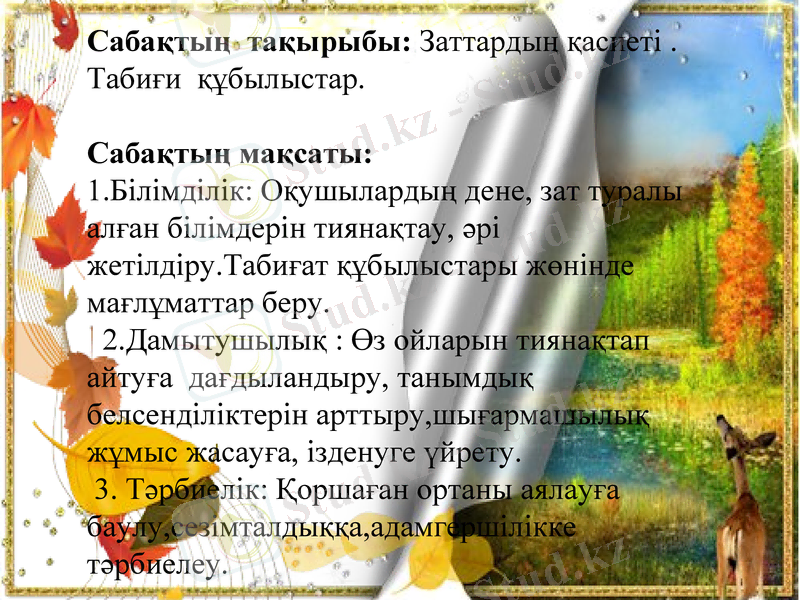 Slide 5