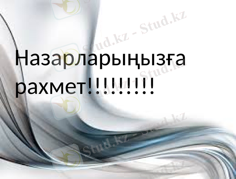 Slide 12