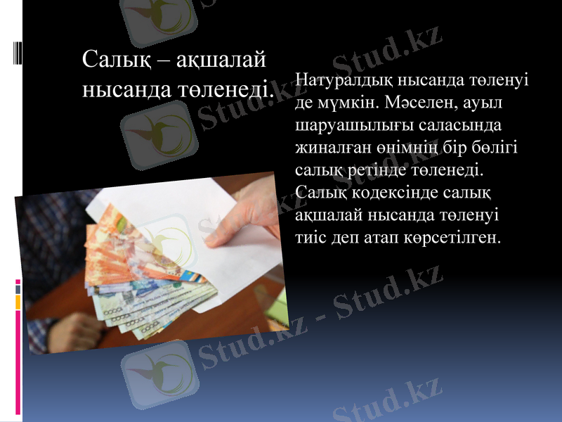 Slide 6