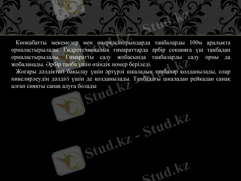 Slide 11