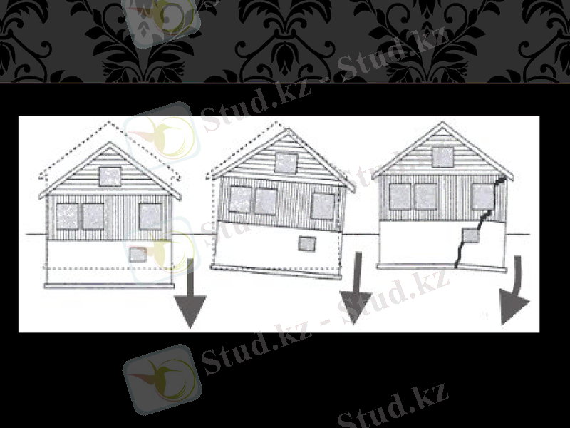 Slide 12