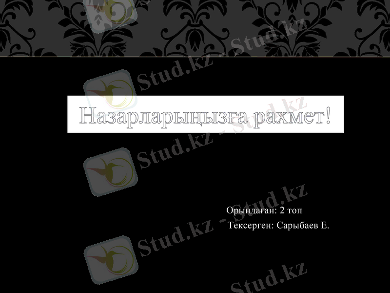 Slide 15