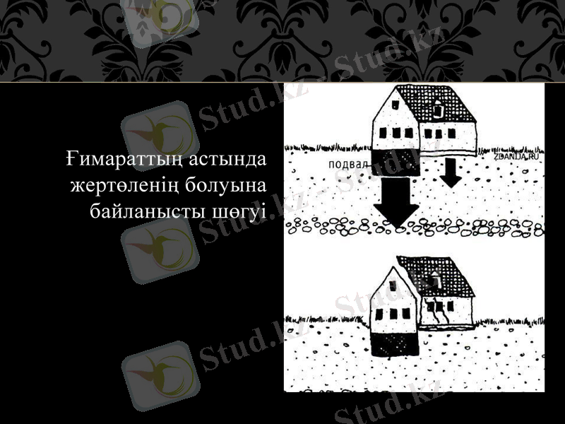 Slide 5