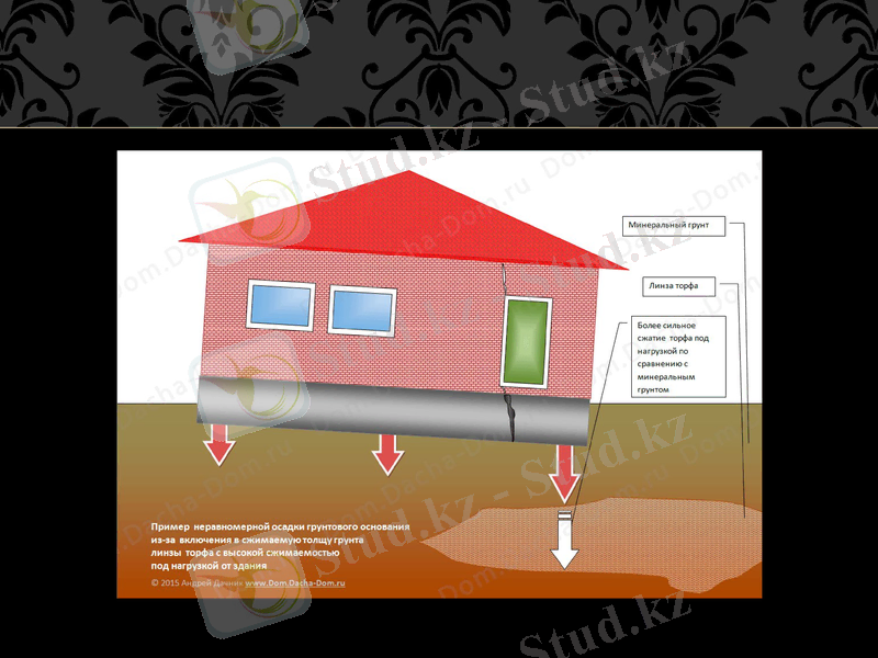 Slide 8