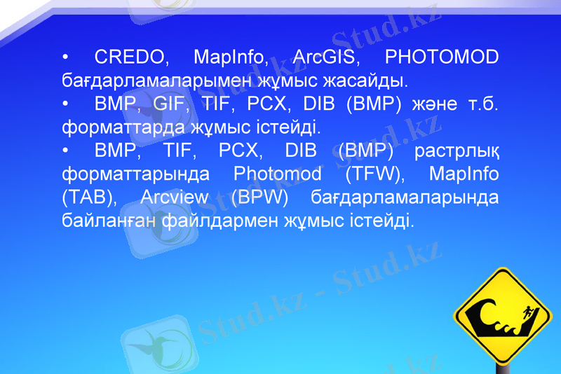 Slide 13